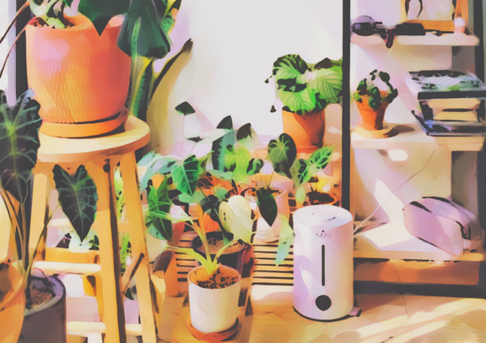 The Girl In The Mirror feature image