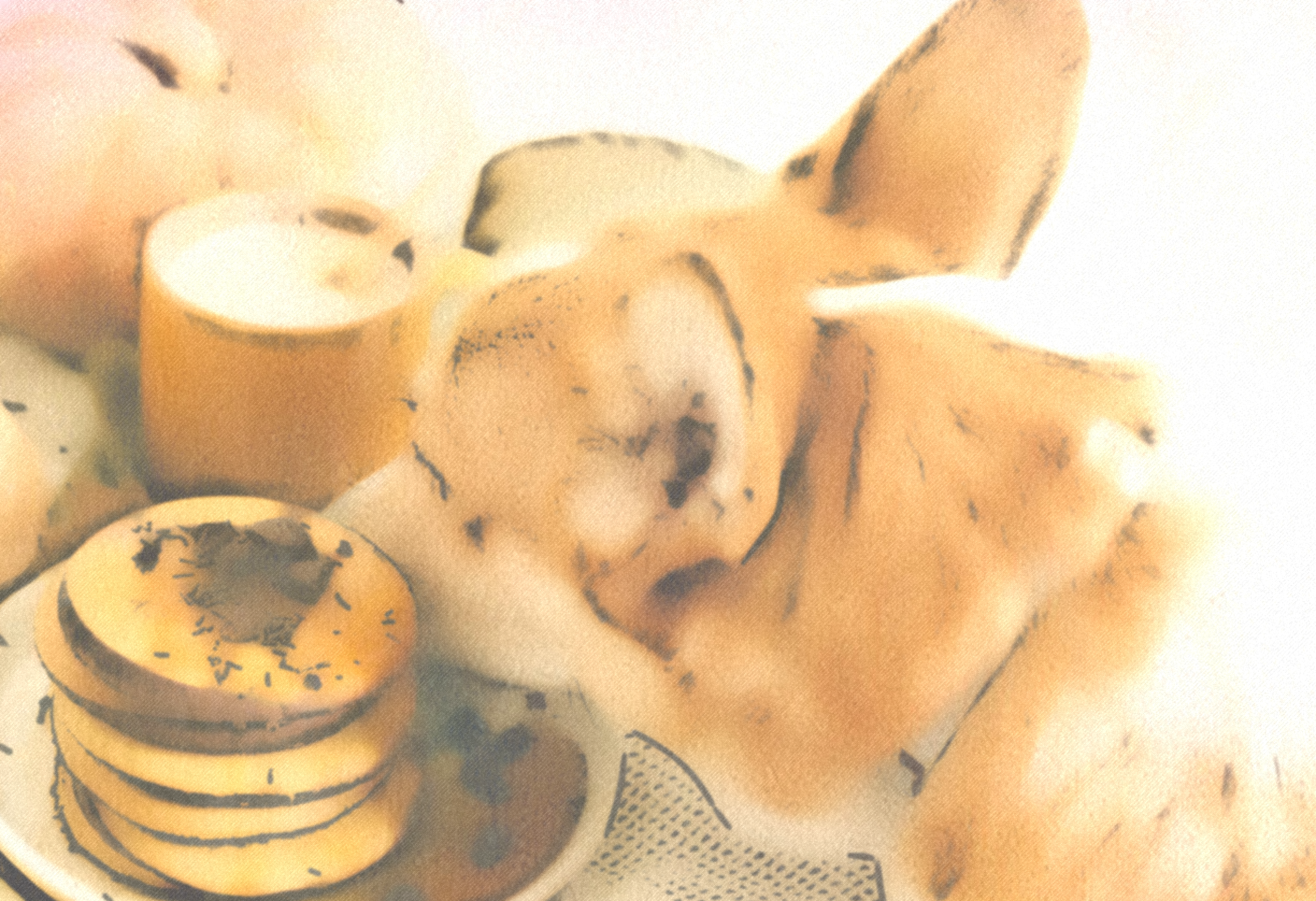 The Woman Who Knew Too Little feature image